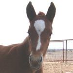 Find Renee M March Phone Number, Location, Email, and more on Intelius