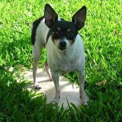 Find Rex Harrell Jackson Phone Number, Location, Email, and more on Intelius