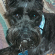 Find Richard L Davis Phone Number, Location, Email, and more on Intelius