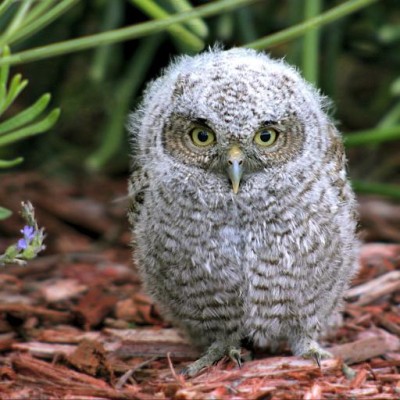 Find Richard C Winegar Phone Number, Location, Email, and more on Intelius