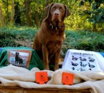 Find Riggs Mullette Gaultney Phone Number, Location, Email, and more on Intelius