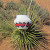 Find Rita Chief Phone Number, Location, Email, and more on Intelius