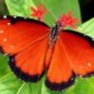 Find Rita Ann Ramirez Phone Number, Location, Email, and more on Intelius