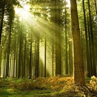 Find Robert Christopher Bergstrom Phone Number, Location, Email, and more on Intelius