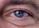 Find Robert J Breslin Phone Number, Location, Email, and more on Intelius