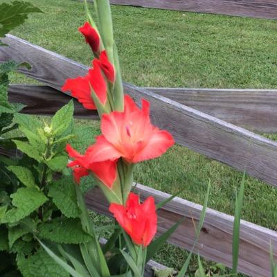 Find Robert J Carey Phone Number, Location, Email, and more on Intelius