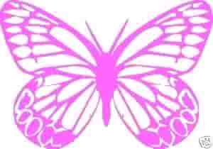 Find Robert Michael Delatorre Phone Number, Location, Email, and more on Intelius