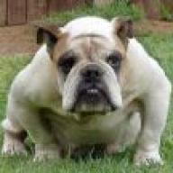 Find Robert G Dunham Phone Number, Location, Email, and more on Intelius