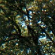Find Robert Bradford Long Phone Number, Location, Email, and more on Intelius