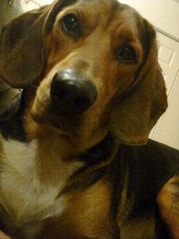 Find Robert E Moore Phone Number, Location, Email, and more on Intelius