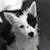 Find Robert J Porter Phone Number, Location, Email, and more on Intelius