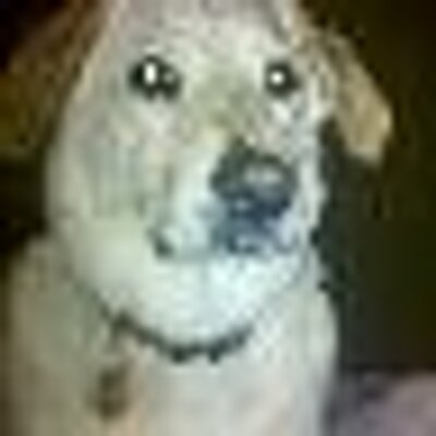 Find Robert Lee Rozelle Phone Number, Location, Email, and more on Intelius