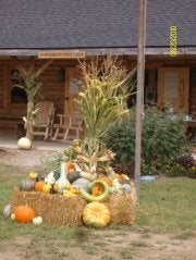 Find Robert L Sauer Phone Number, Location, Email, and more on Intelius