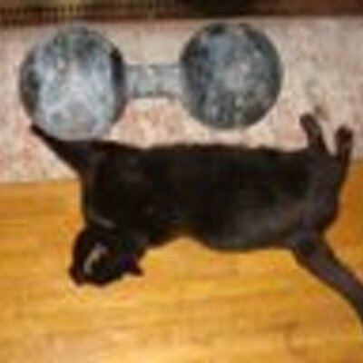 Find Robert A Sundin Phone Number, Location, Email, and more on Intelius