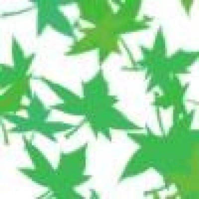 Find Robert D Webster Phone Number, Location, Email, and more on Intelius