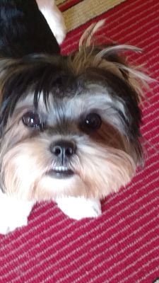 Find Robert T Williams Phone Number, Location, Email, and more on Intelius