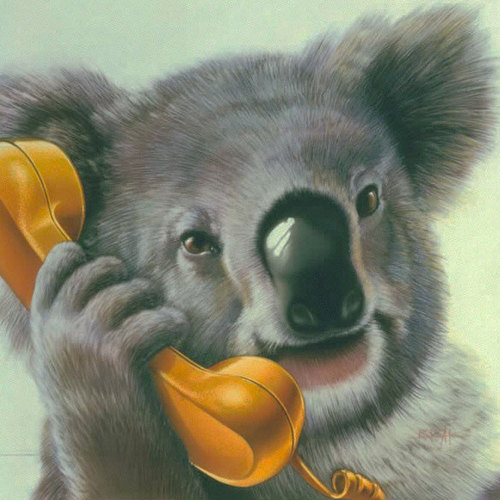 Find Robert N Wilson Phone Number, Location, Email, and more on Intelius