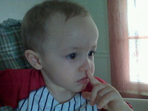 Find Robert Daniel Workman Phone Number, Location, Email, and more on Intelius