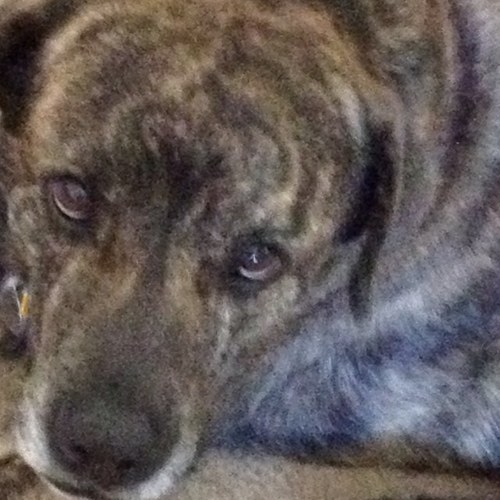 Find Roberta D Gulley Phone Number, Location, Email, and more on Intelius