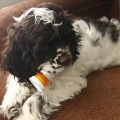 Find Robin Bishop Phone Number, Location, Email, and more on Intelius
