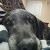 Find Robin D Dubois Phone Number, Location, Email, and more on Intelius