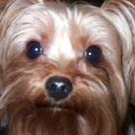 Find Robin A Grant Phone Number, Location, Email, and more on Intelius