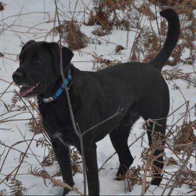 Find Robin E Hall Phone Number, Location, Email, and more on Intelius