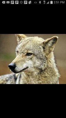 Find Robin L Winston Phone Number, Location, Email, and more on Intelius