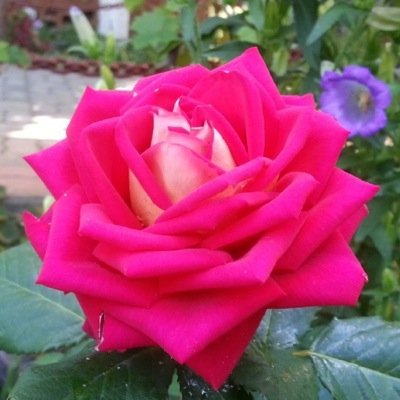 Find Robyn A Miller Phone Number, Location, Email, and more on Intelius