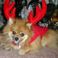 Find Rodel P Rivera Phone Number, Location, Email, and more on Intelius