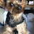 Find Ronald S Boeder Phone Number, Location, Email, and more on Intelius