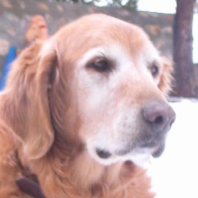 Find Ronald Lee Jackson Phone Number, Location, Email, and more on Intelius