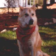 Find Ronald James Lindsay Phone Number, Location, Email, and more on Intelius