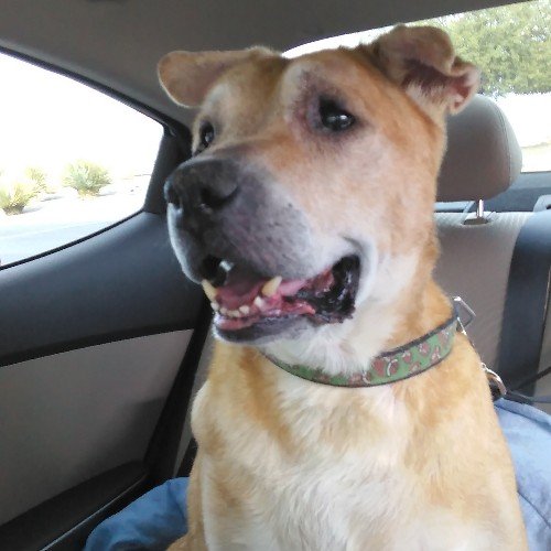 Find Ronald R Smith Phone Number, Location, Email, and more on Intelius