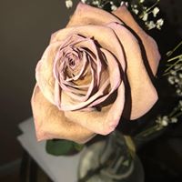 Find Rosa Maria Perez Phone Number, Location, Email, and more on Intelius
