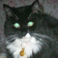 Find Rose Jean Richter Phone Number, Location, Email, and more on Intelius