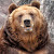 Find Ruben S Chapa Phone Number, Location, Email, and more on Intelius