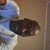 Find Russell Lee Walker Phone Number, Location, Email, and more on Intelius