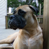 Find Ruth A George Phone Number, Location, Email, and more on Intelius