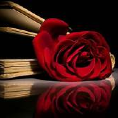 Find Samantha R Brown Phone Number, Location, Email, and more on Intelius