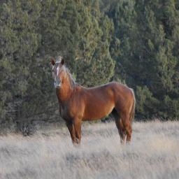 Find Sandra JO Ely Phone Number, Location, Email, and more on Intelius