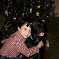 Find Sandra B Guerin Phone Number, Location, Email, and more on Intelius