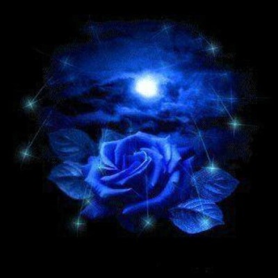 Find Sandra O Marcus Phone Number, Location, Email, and more on Intelius