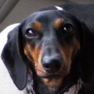 Find Sandra Lee Robinson Phone Number, Location, Email, and more on Intelius