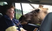 Find Sandra Lynn Scrivner Phone Number, Location, Email, and more on Intelius