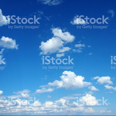 Find Sara J Woolf Phone Number, Location, Email, and more on Intelius