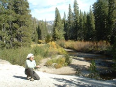 Find Sarah E Ogara Phone Number, Location, Email, and more on Intelius