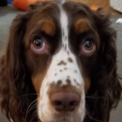 Find Sarah Lee Smith Phone Number, Location, Email, and more on Intelius
