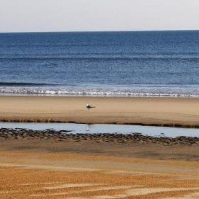 Find Sarah K Warner Phone Number, Location, Email, and more on Intelius