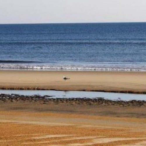 Find Sarah B Warner Phone Number, Location, Email, and more on Intelius
